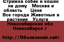 Стрижка собак и кошек на дому.  Москва и область.  › Цена ­ 1 200 - Все города Животные и растения » Услуги   . Новосибирская обл.,Новосибирск г.